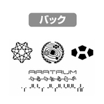 SAMPLE2
