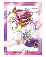 SAMPLE1