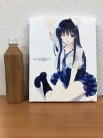 SAMPLE1