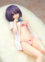 SAMPLE12