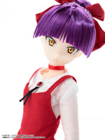 SAMPLE4
