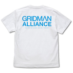 SAMPLE1