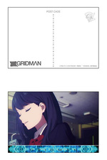 SAMPLE6