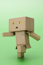 SAMPLE1