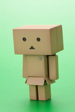 SAMPLE5