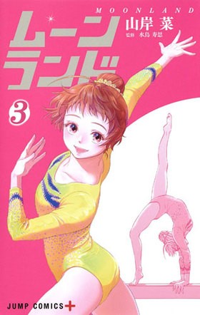 ࡼ 3 ץߥå