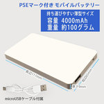SAMPLE2