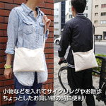 SAMPLE1