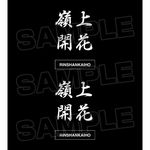 SAMPLE2