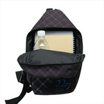 SAMPLE4