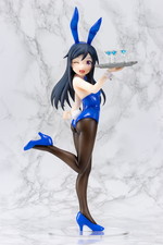 SAMPLE1