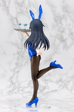SAMPLE5
