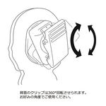 SAMPLE1