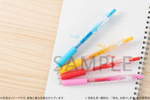 SAMPLE2
