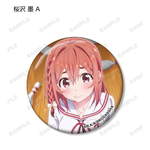 SAMPLE4