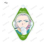 SAMPLE5