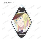 SAMPLE8