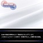 SAMPLE2