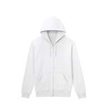 SAMPLE1