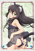 SAMPLE2