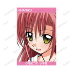 SAMPLE1