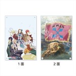 SAMPLE1