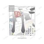 SAMPLE1
