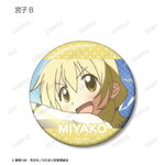 SAMPLE8
