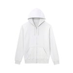 SAMPLE1