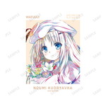 SAMPLE1