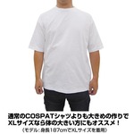 SAMPLE3