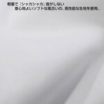 SAMPLE3