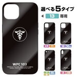 SAMPLE1