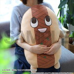 SAMPLE2