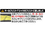 SAMPLE1