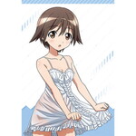SAMPLE1