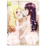 SAMPLE1