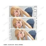SAMPLE1