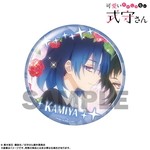 SAMPLE11