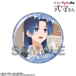 SAMPLE12