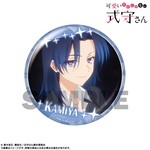 SAMPLE13