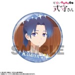 SAMPLE1