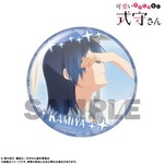 SAMPLE3