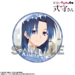 SAMPLE5