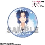 SAMPLE6
