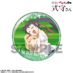 SAMPLE13