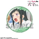 SAMPLE4