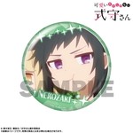 SAMPLE5