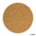 SAMPLE1