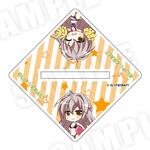 SAMPLE1